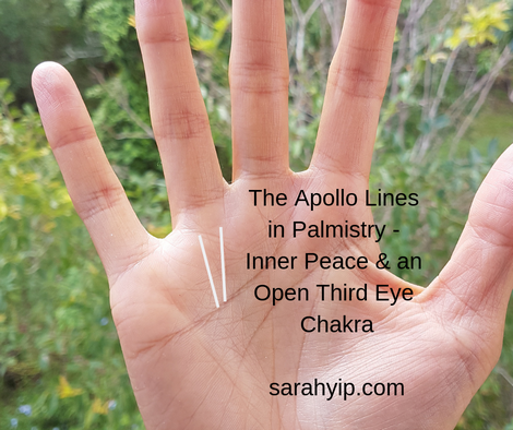 The Sun or Apollo Lines in Palmistry – Inner Peace, Here We Come – Sarah Yip