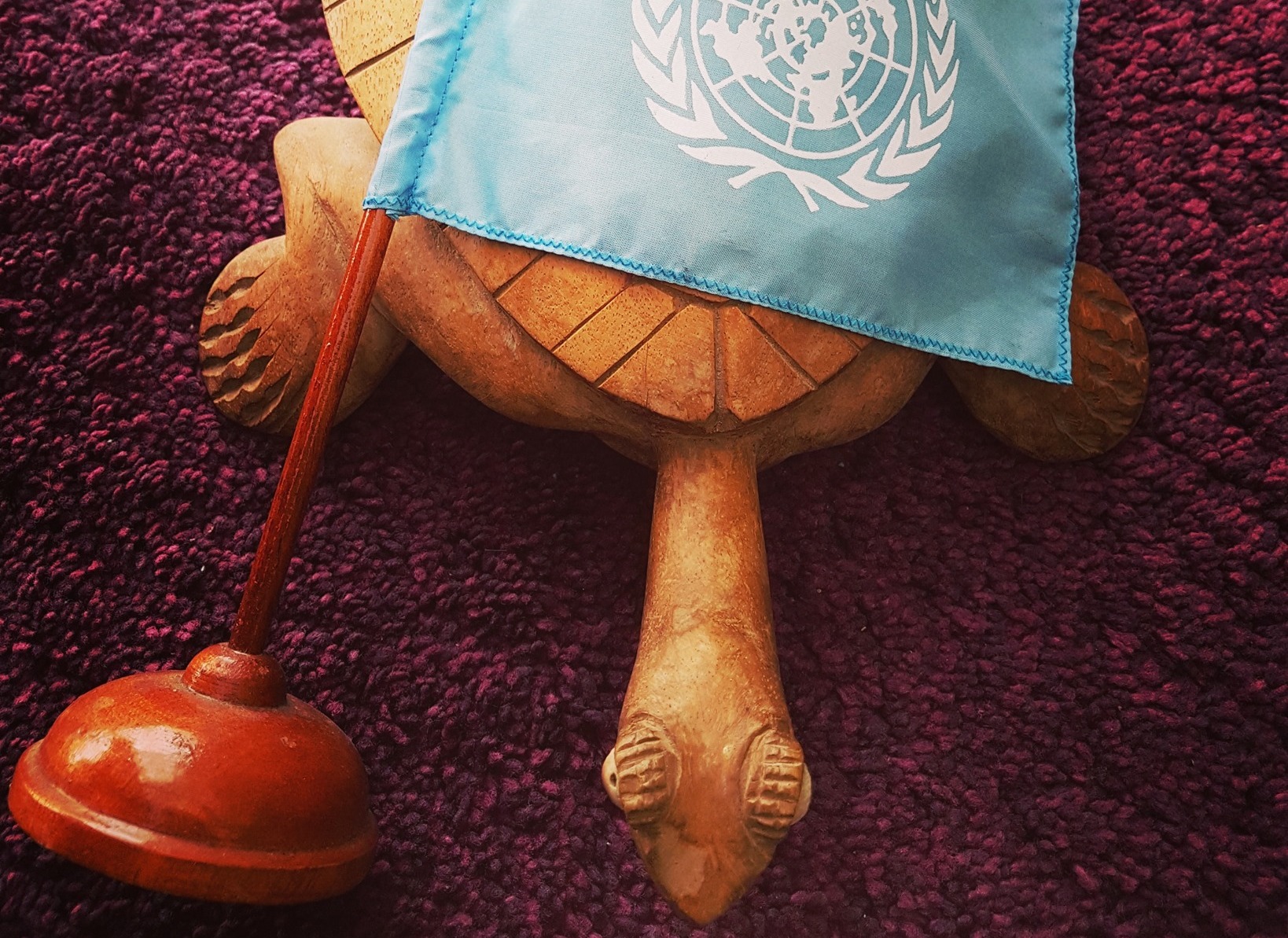 UN flag over wooden turtle